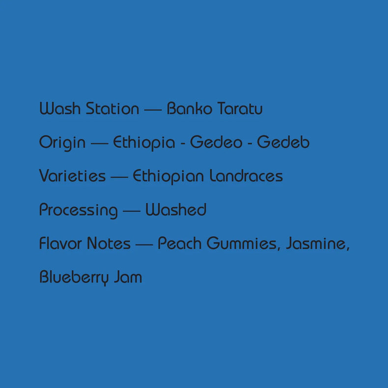 Mirra Coffee - Banko Taratu Washed 74110 & 74112 | Ethiopia