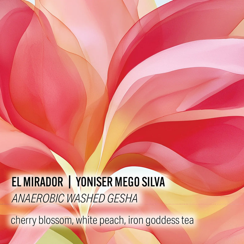 Moonwake Coffee Roasters - El Mirador - Yoniser Mego Silva - Anaerobic Washed Gesha | Peru