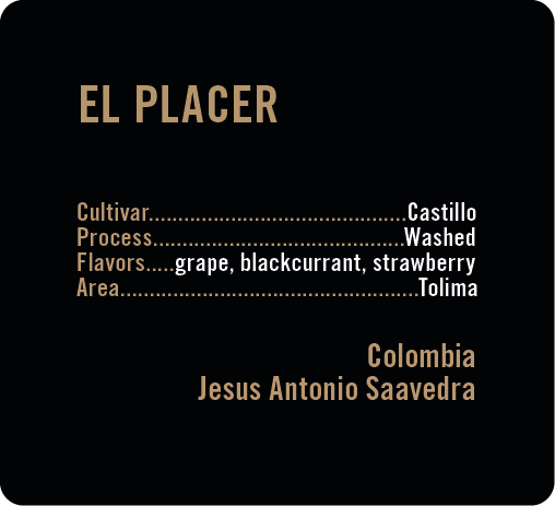 Apollon's Gold - El Placer - Washed Castillo | Colombia
