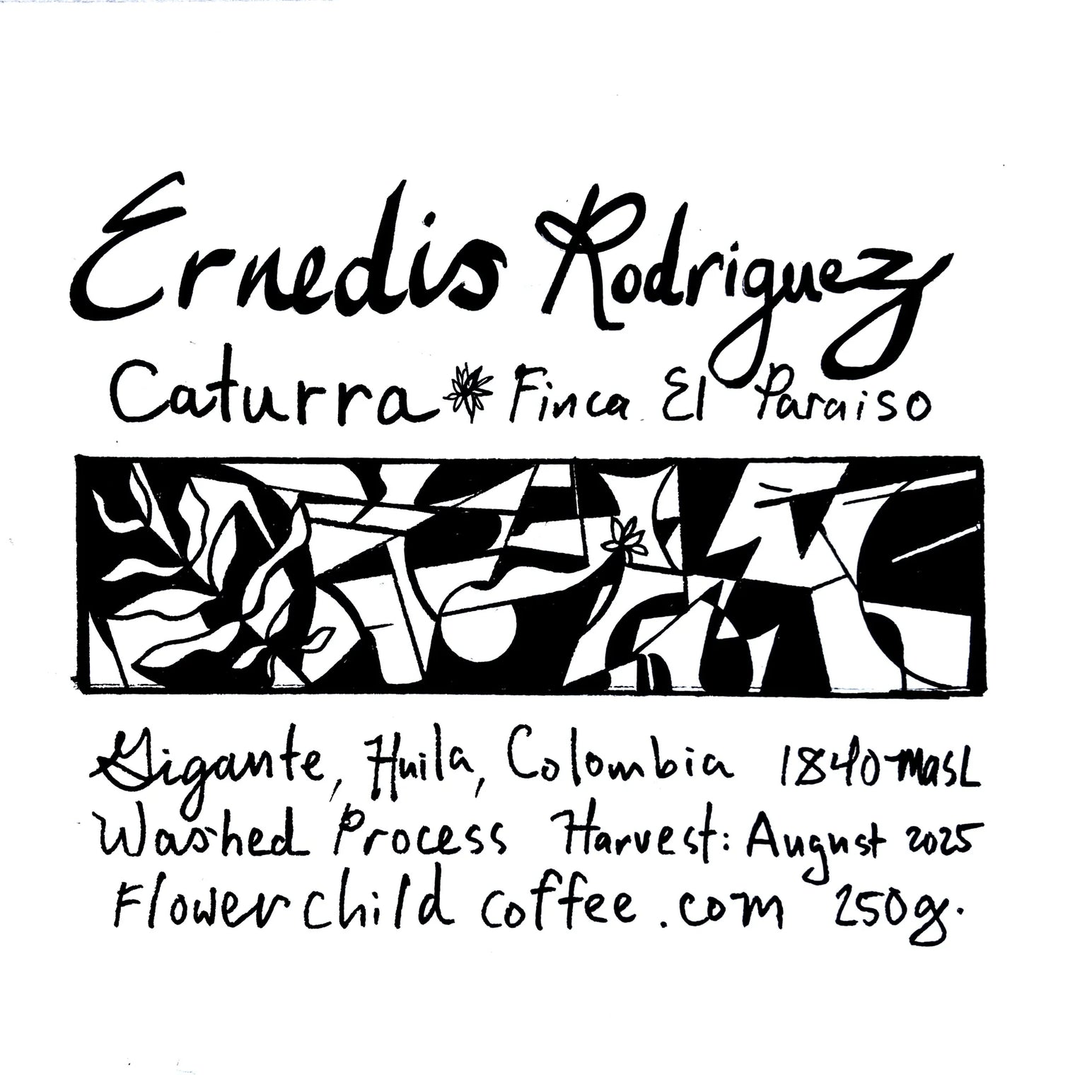 Flower Child - El Paraiso Caturra - Sigma Coffee UK