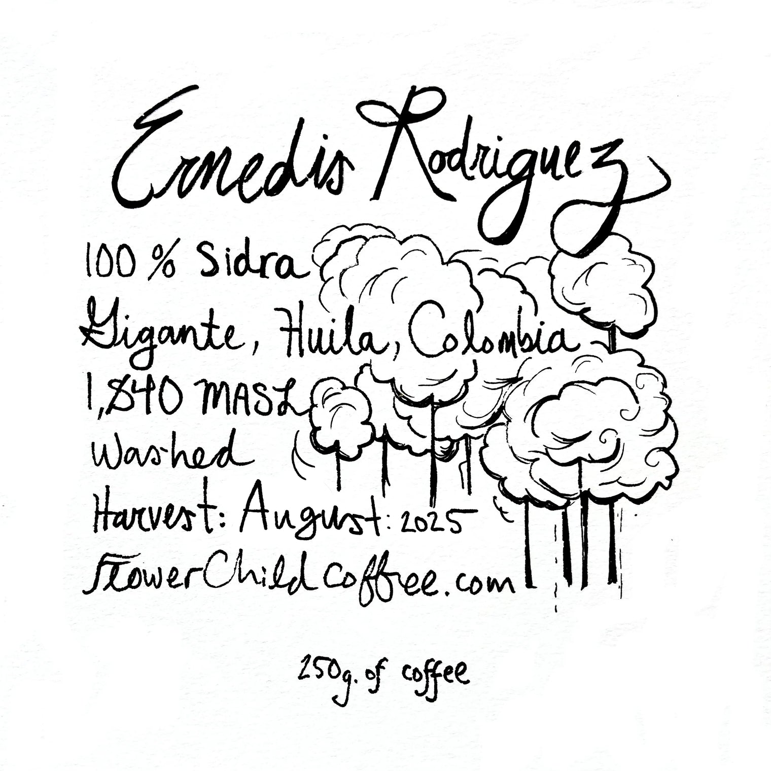 Flower Child - Ernedis Rodriguez - Sidra