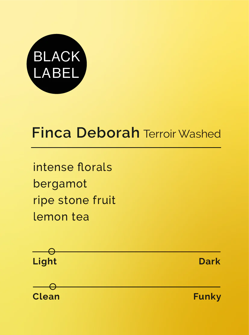 Black & White - Finca Deborah - Terroir Gesha