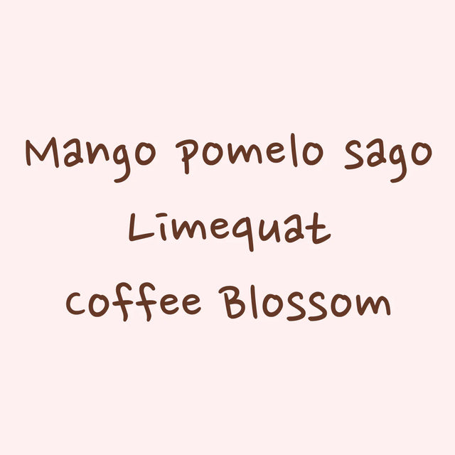 Hydrangea - Gesha, Washed - Finca Hartmann