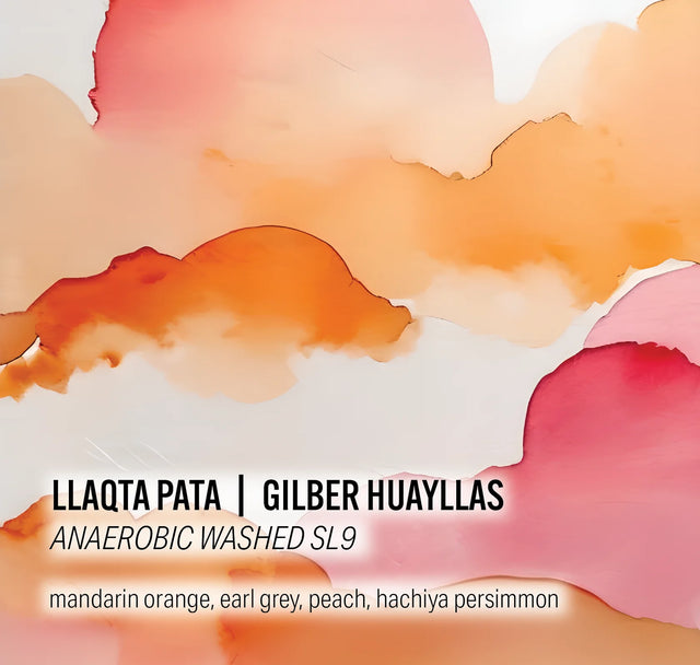 Moonwake - Gilber Huayllas Llaqta Pata - Anaerobic Washed SL9 - Peru - Sigma Coffee UK