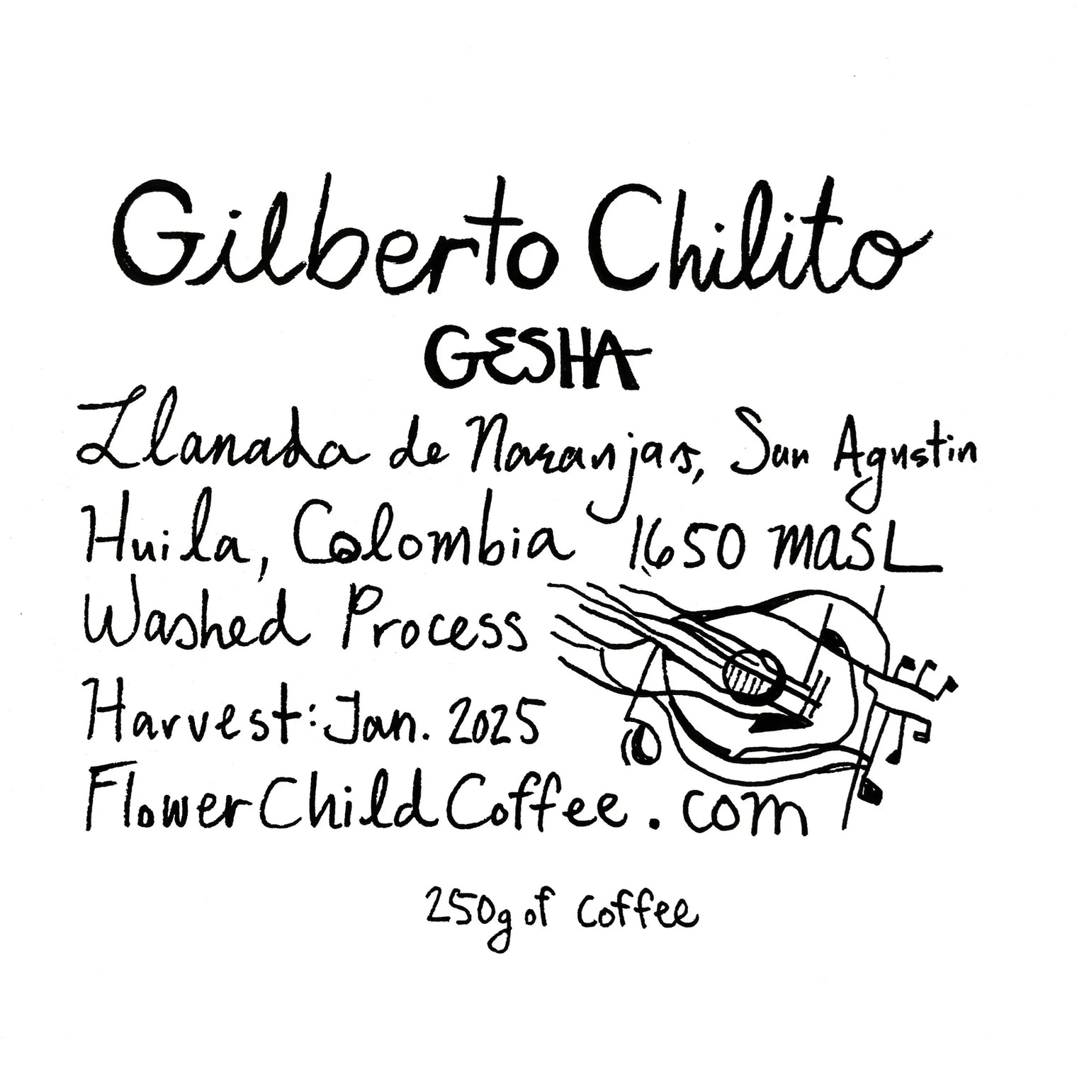 Flower Child - Gilberto Chilto - Gesha