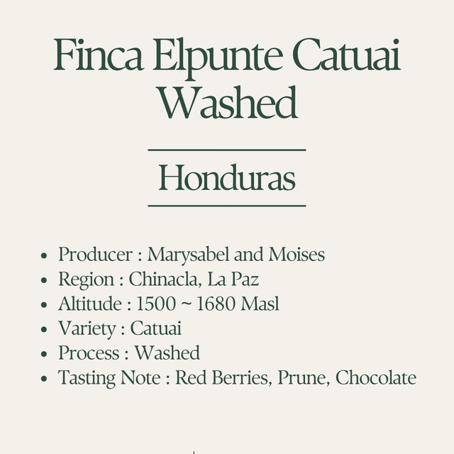 Klover - Finca El Puente Washed Catuai | Honduras