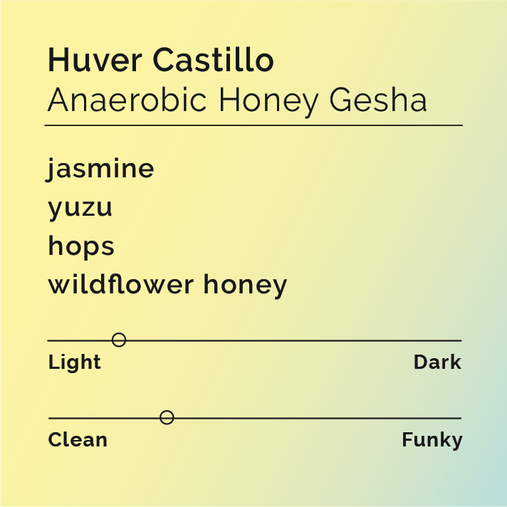 Black & White - Huver Castillo - Anaerobic Honey Gesha