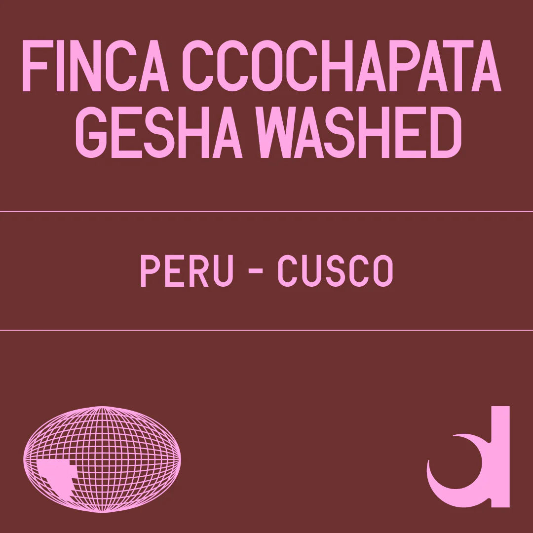 Datura | Finca Ccochapata Gesha Washed (100g)