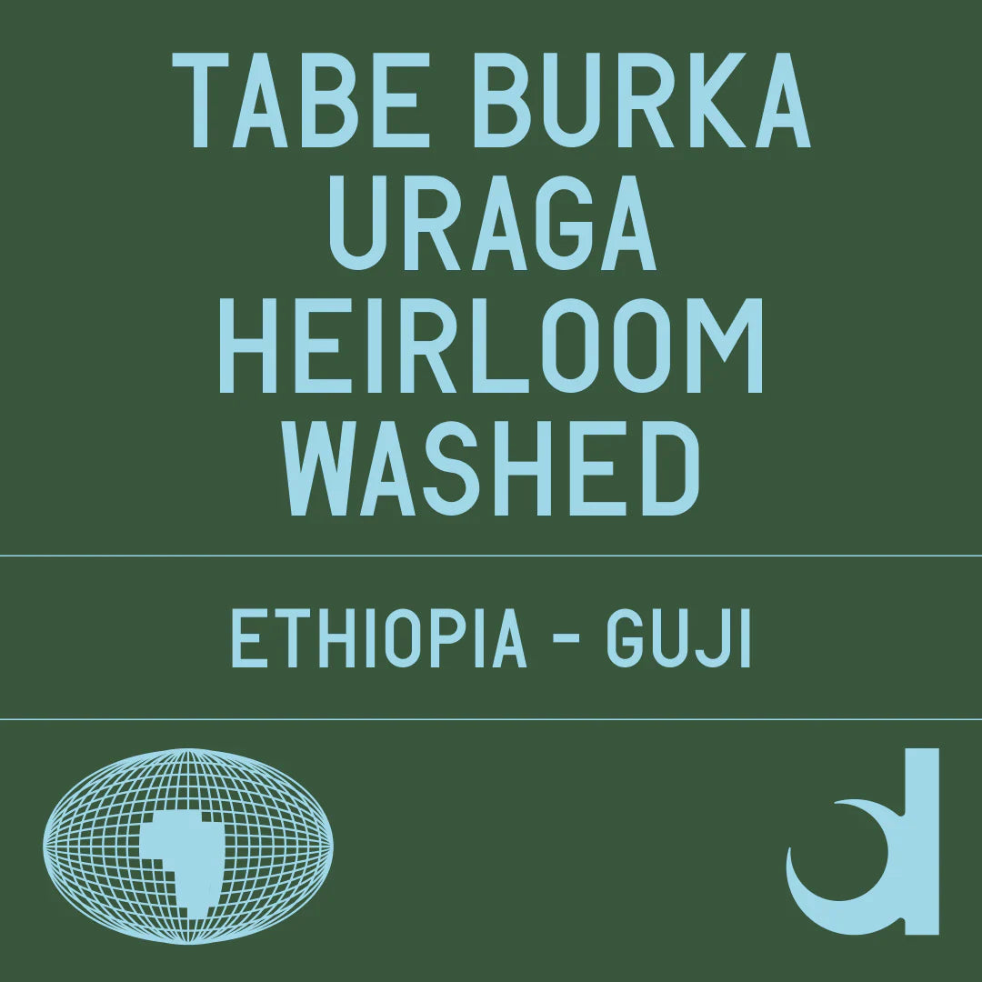 Datura | Tabe Burka, Uraga Heirloom Washed (200g)
