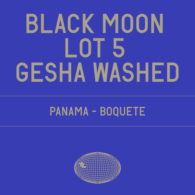 Datura | Black Moon Lot 5 Gesha Washed (100g) - Sigma Coffee UK