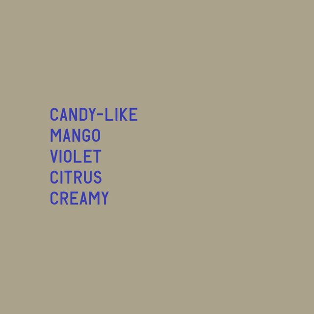 Datura | Finca Deborah Illumination Gesha (100g)