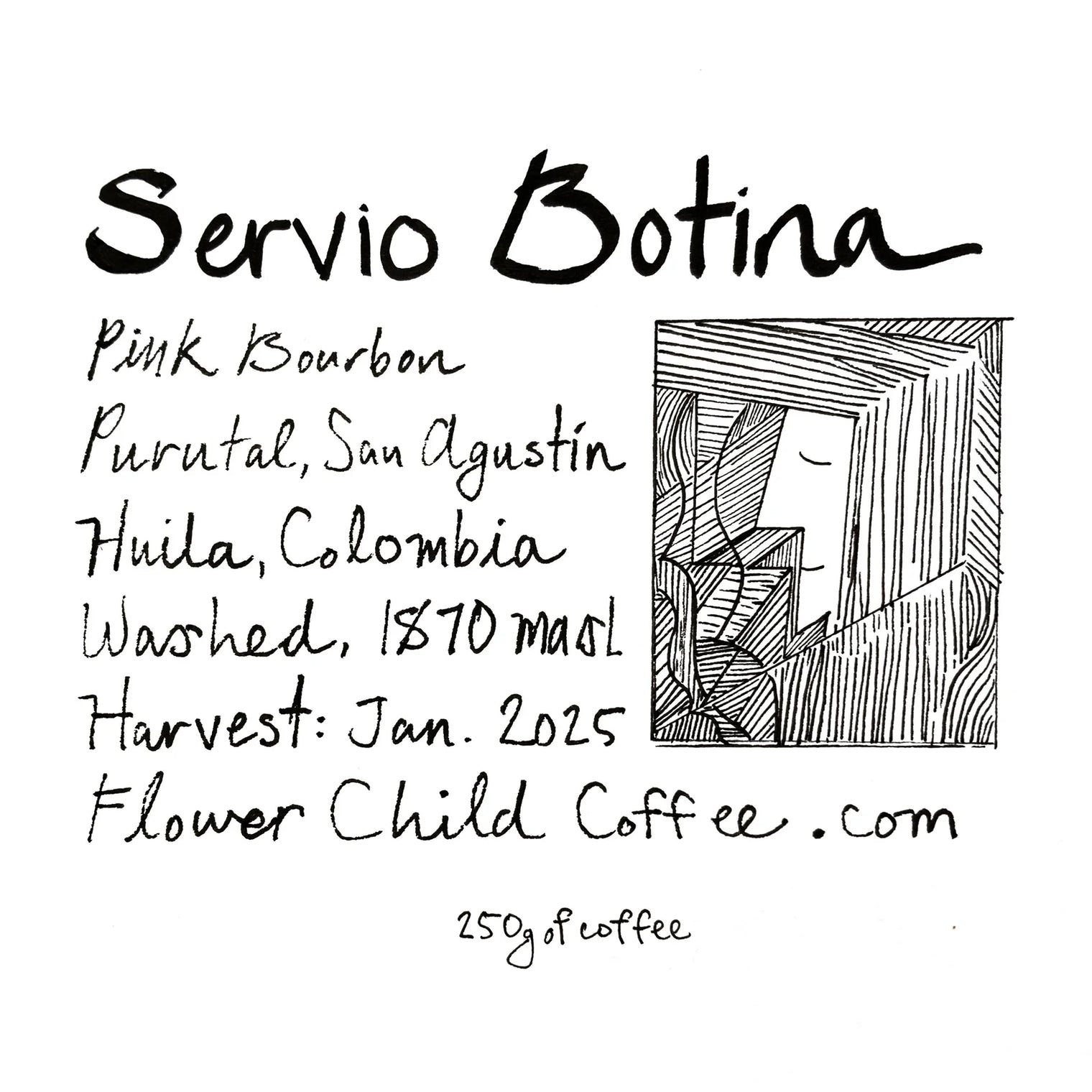 Flower Child - Servio Bonita - Pink Bourbon