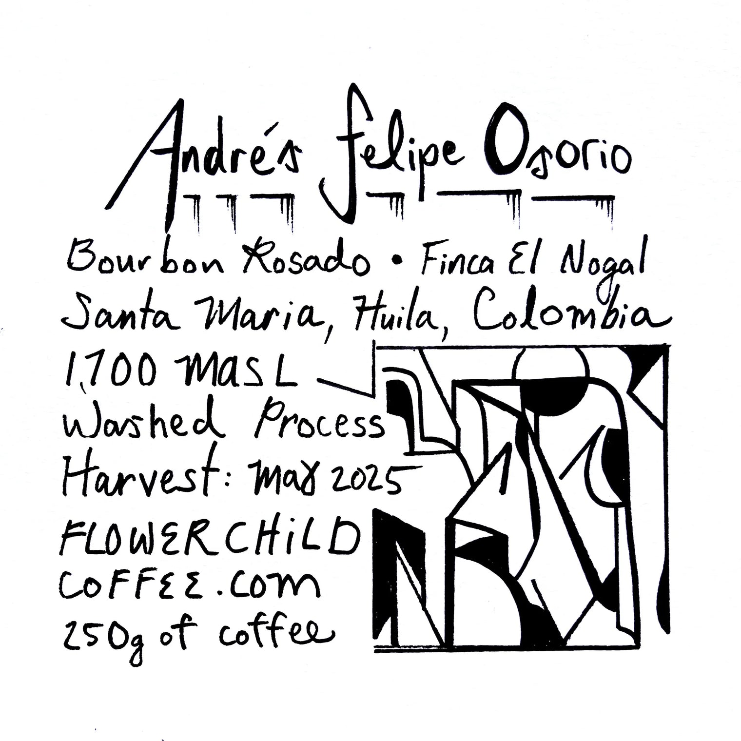 Flower Child - Andrés Felipe Osorio Washed - Sigma Coffee UK