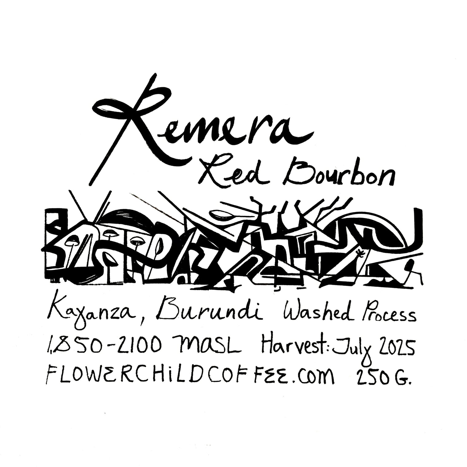 Flower Child - Remera - Washed Red Bourbon | Burundi - Sigma Coffee UK