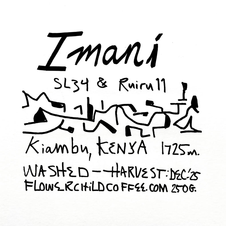 Flower Child Coffee - Imani AA | Kenya