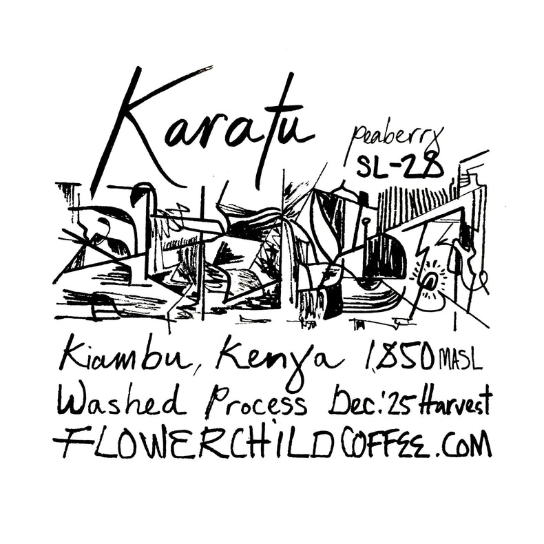 Flower Child Coffee - Karatu SL28 PB Washed | Kenya