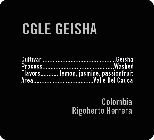 Apollon's Gold - CGLE Washed Geisha | Colombia