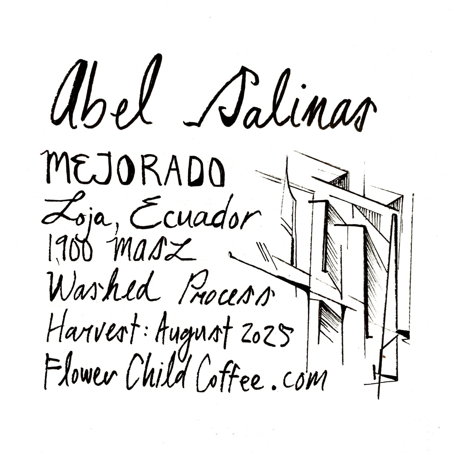 Flower Child Coffee - Abel Salinas - Mejorado - Sigma Coffee UK
