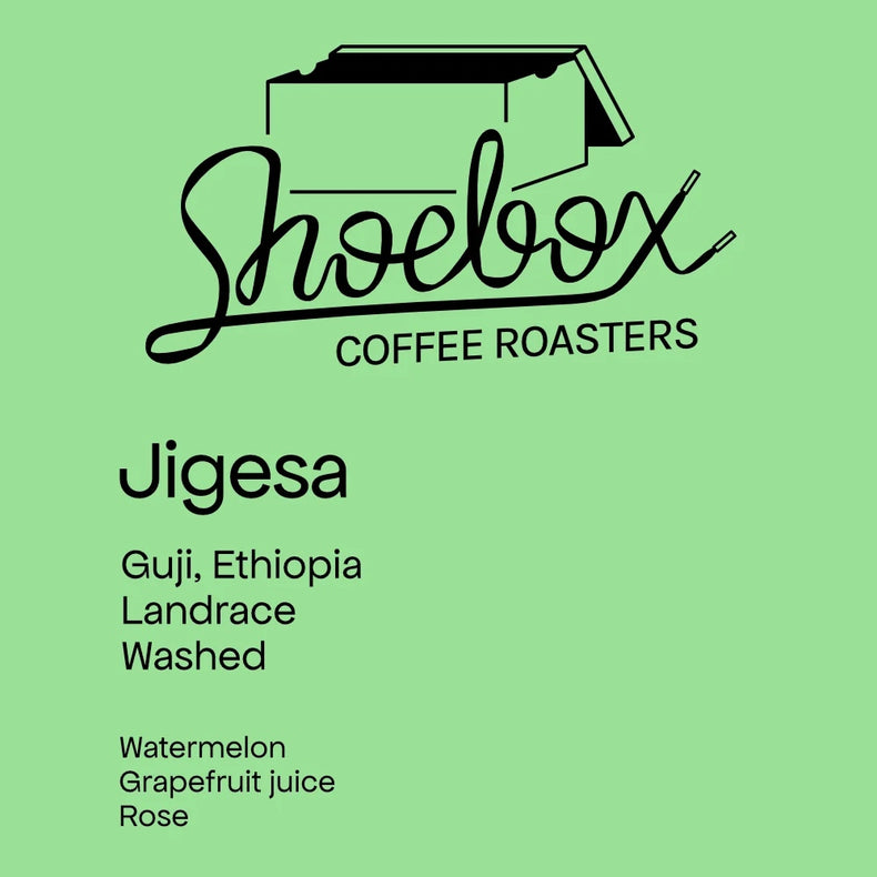 Shoebox Coffee Roasters - Jigesa Washed Landrace | Ethiopia