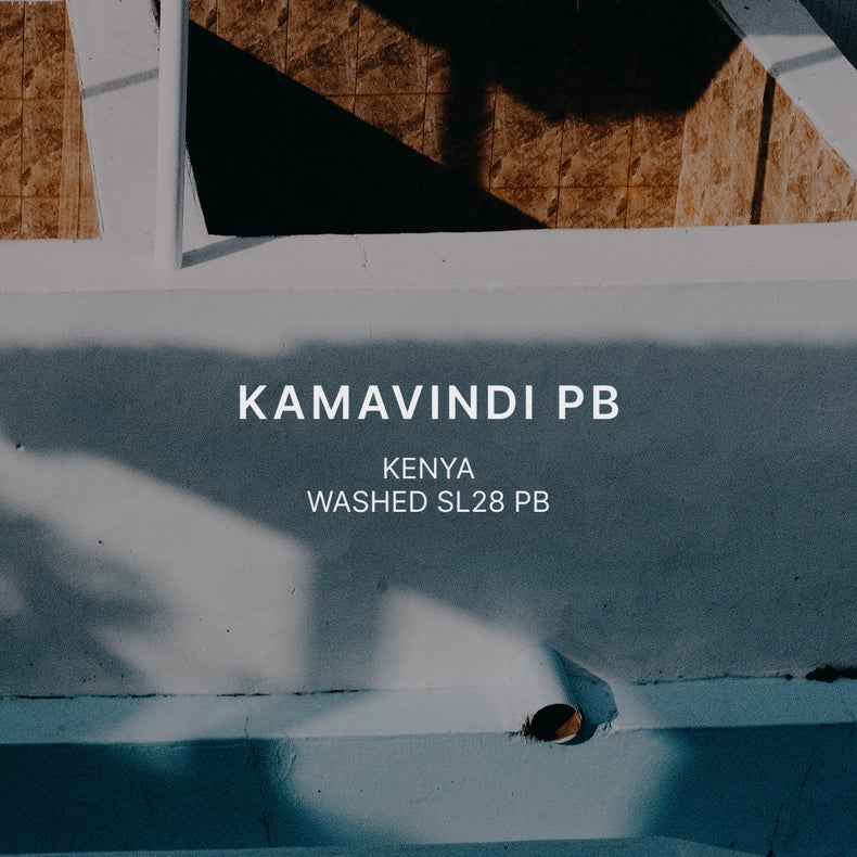 Mazelab - Kamavindi Washed SL28 Peaberry | Kenya