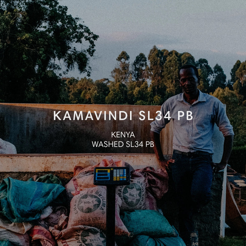 Mazelab - Mbature Family Kamavindi Estate SL34 Peaberry