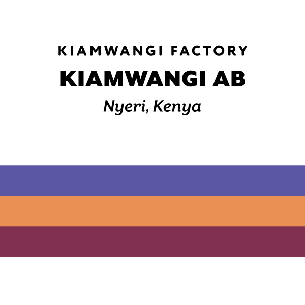 H&S Roasters - Kiamwangi Washed AB | Kenya