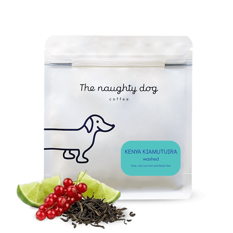 The Naughty Dog - Kenya Kiamutuira - Washed | Kenya - Sigma Coffee UK