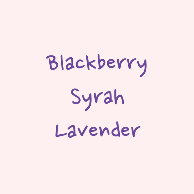 Hydrangea - Karinga AA Washed | Kenya