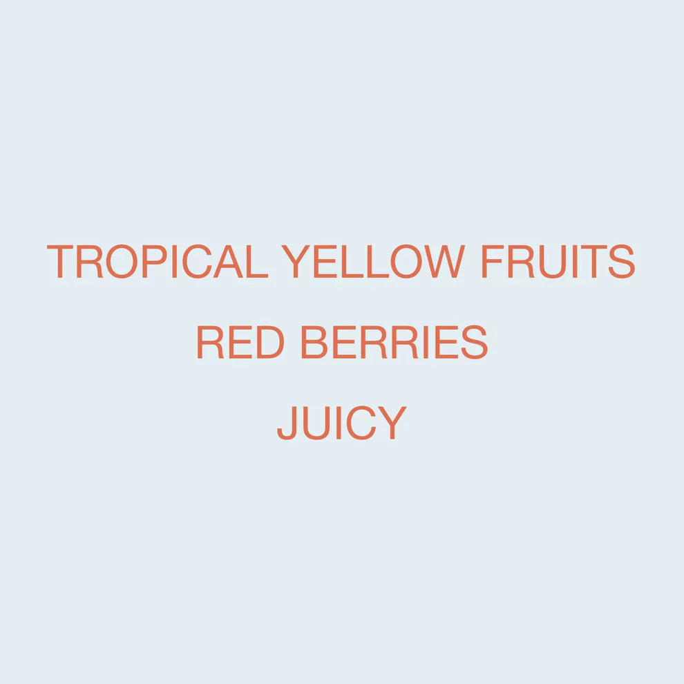 Koppi - Karinga AA | Kenya