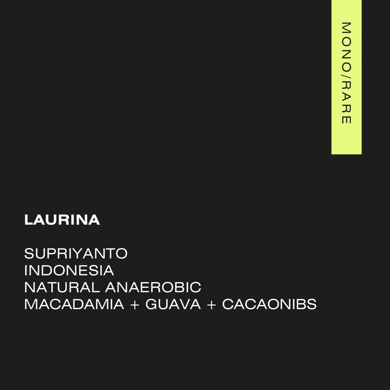 A Matter of Concrete - LAURINA3 INDONESIA — SUPRIYANTO