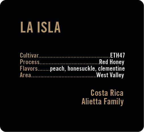 Apollon's Gold - La Isla - Red Honey ETH47 | Costa Rica - Sigma Coffee UK