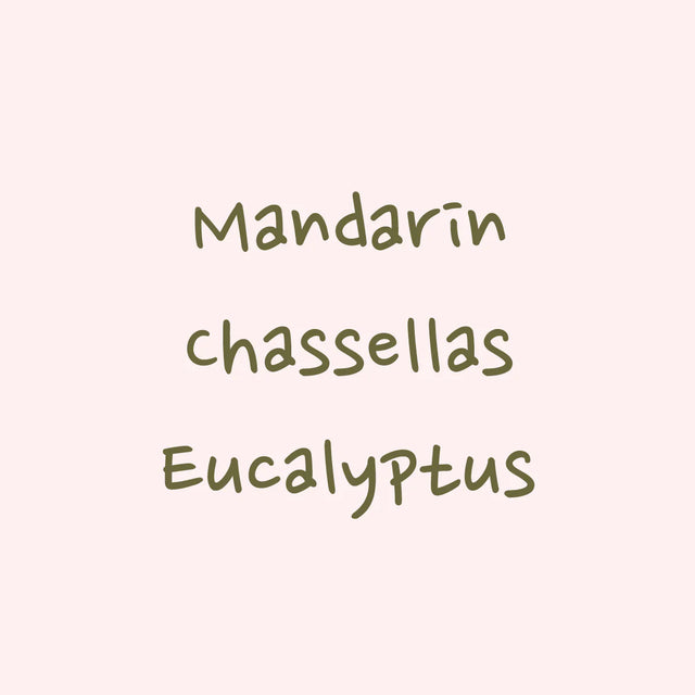 Hydrangea - Typica Mejorado, Washed - Hacienda La Papaya