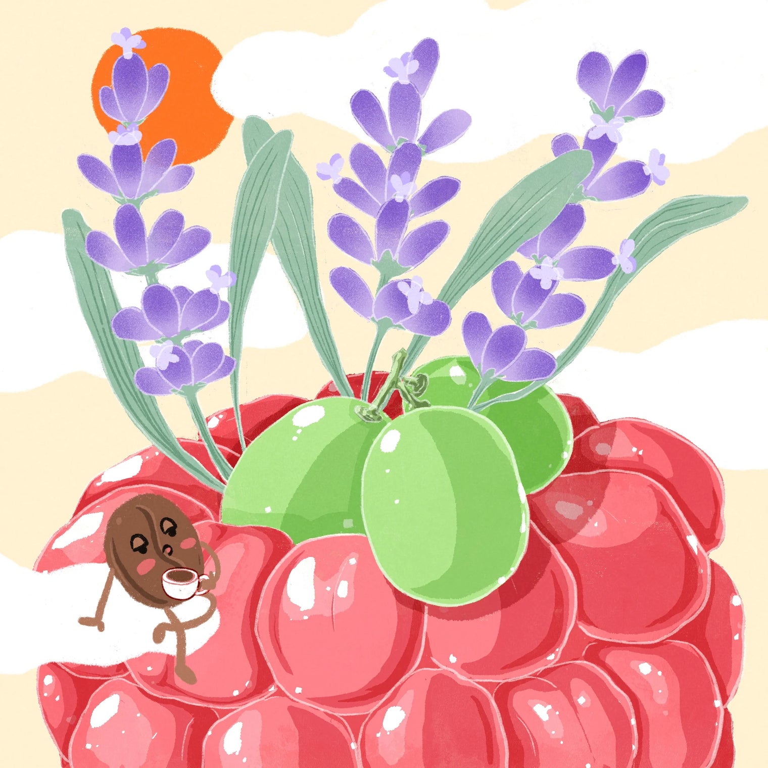 Hydrangea - Finca Deborah, Echo - CM Washed Gesha