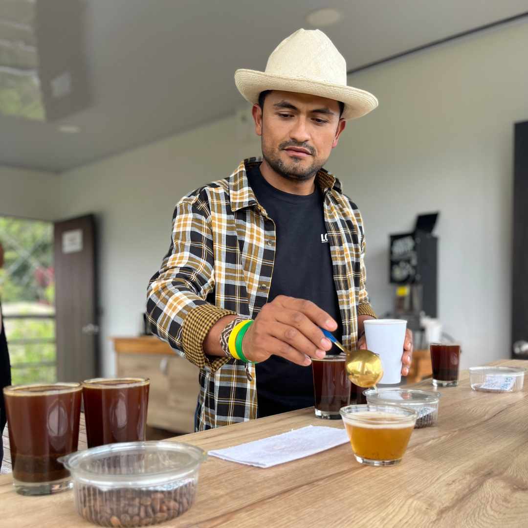 A Matter of Concrete - Typica Decaf - Nogales | Colombia