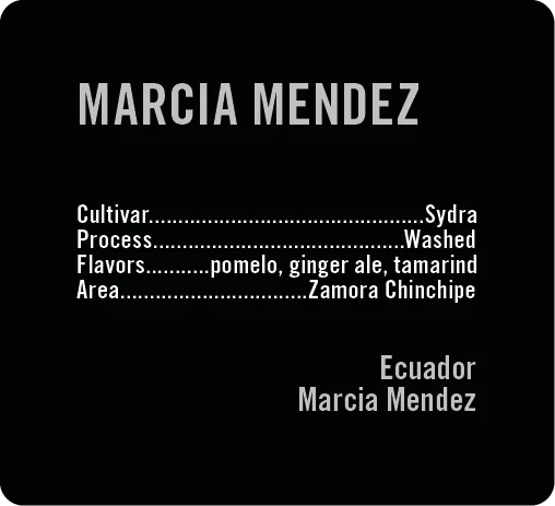 Apollon's Gold - Marcia Mendez - Washed Sydra | Ecuador - Sigma Coffee UK