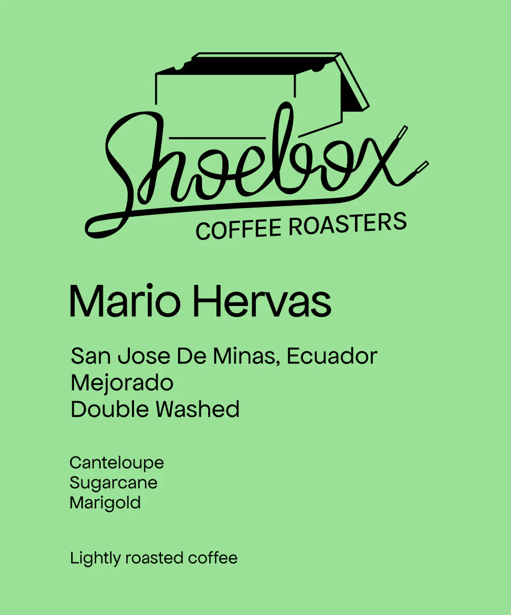 Shoebox - Mario Hervas Mejorado Washed | Ecuador
