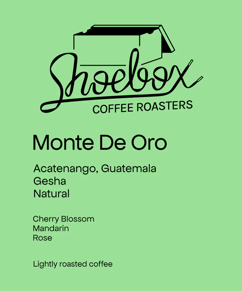 Shoebox - Monte De Oro, Natural Gesha | Guatemala