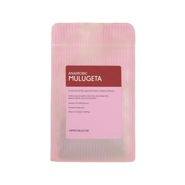 Coffee Collective - Mulugeta Anaerobic Natural 74158 | Ethiopia