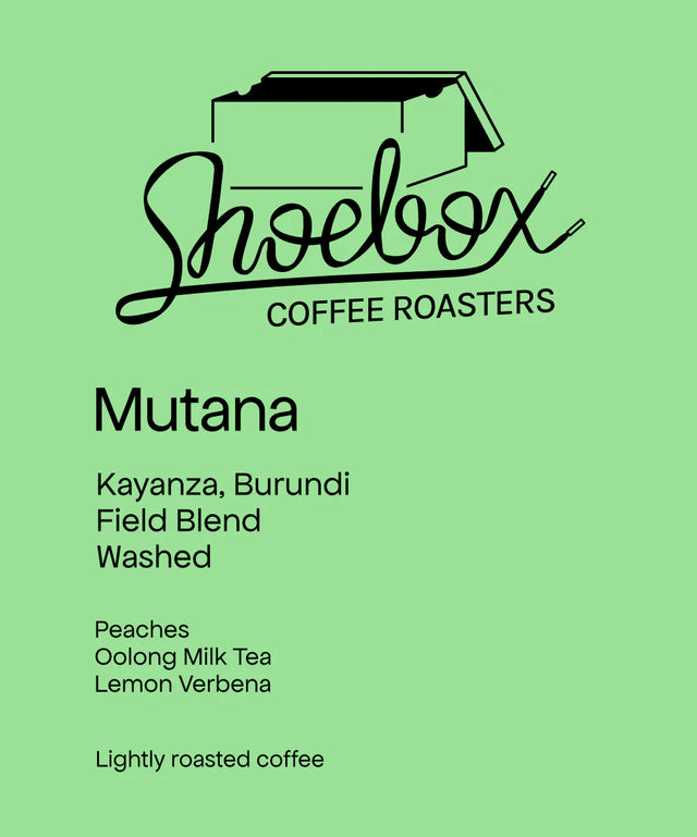 Shoebox - Mutana Hill Washed | Burundi - Sigma Coffee UK