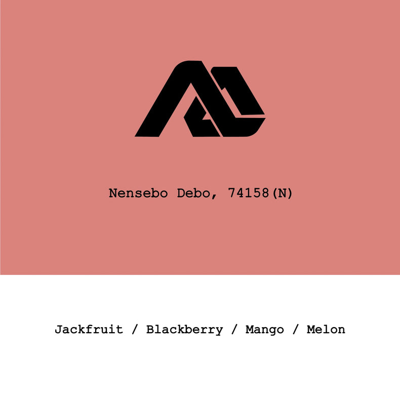 Goût & Co - Nensebo Debo 74158 Natural | Ethiopia