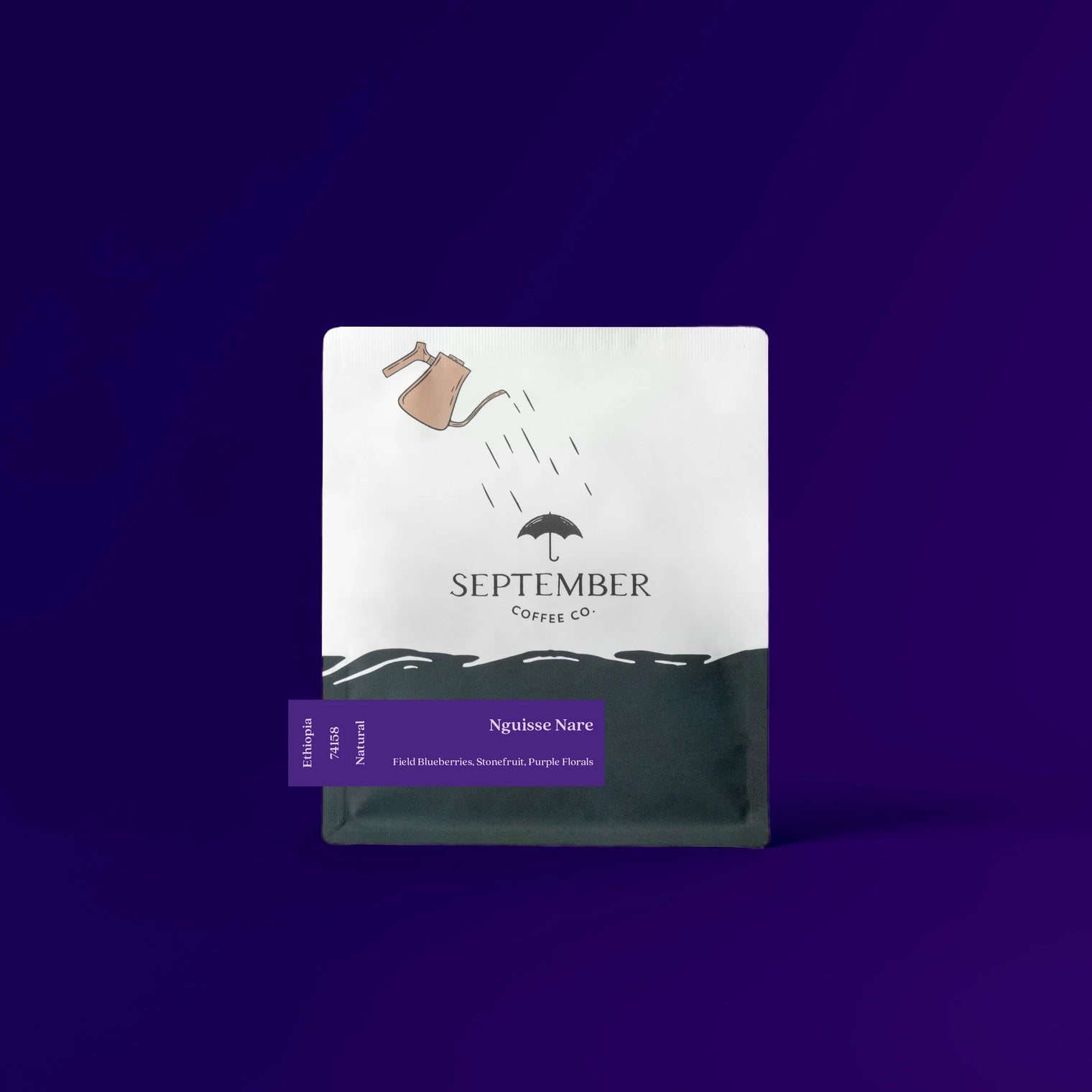 September - Nguisse Nare, Natural JARC 74158 | Ethiopia - Sigma Coffee UK