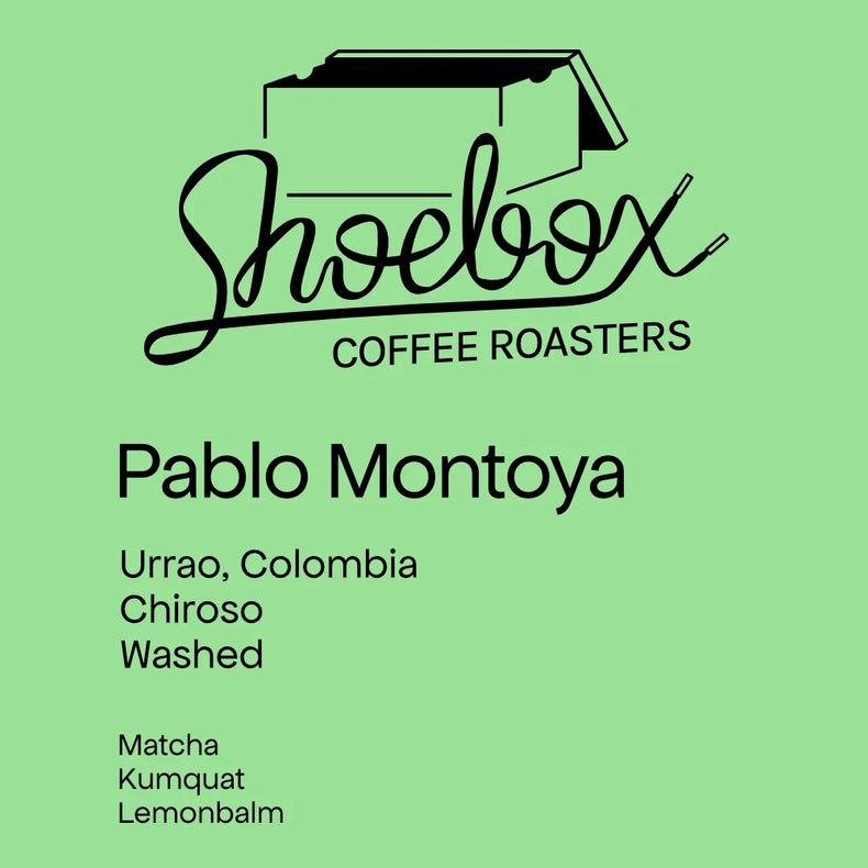 Shoebox Coffee Roasters - Pablo Montoya Chiroso Washed | Colombia