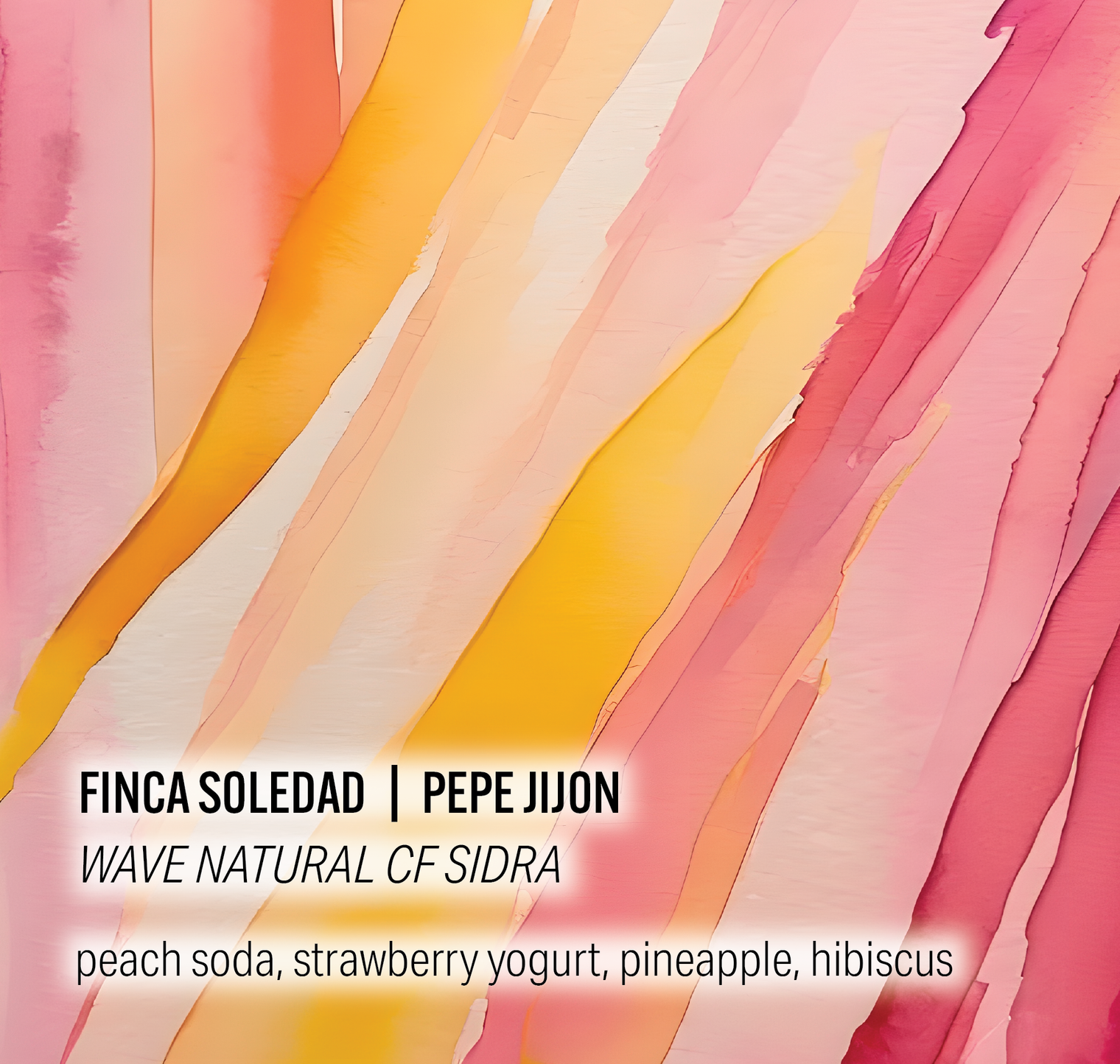 Moonwake - Pepe Jijon Finca Soledad - Wave Natural CF Sidra | Ecuador - Sigma Coffee UK