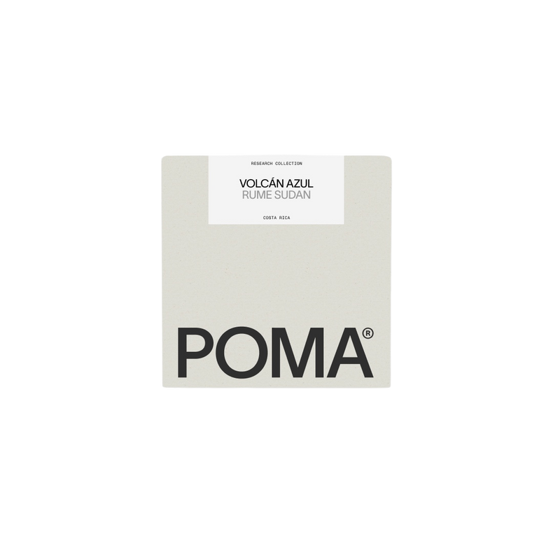 POMA Coffee - Volcán Azul Honey Rume Sudan | Costa Rica