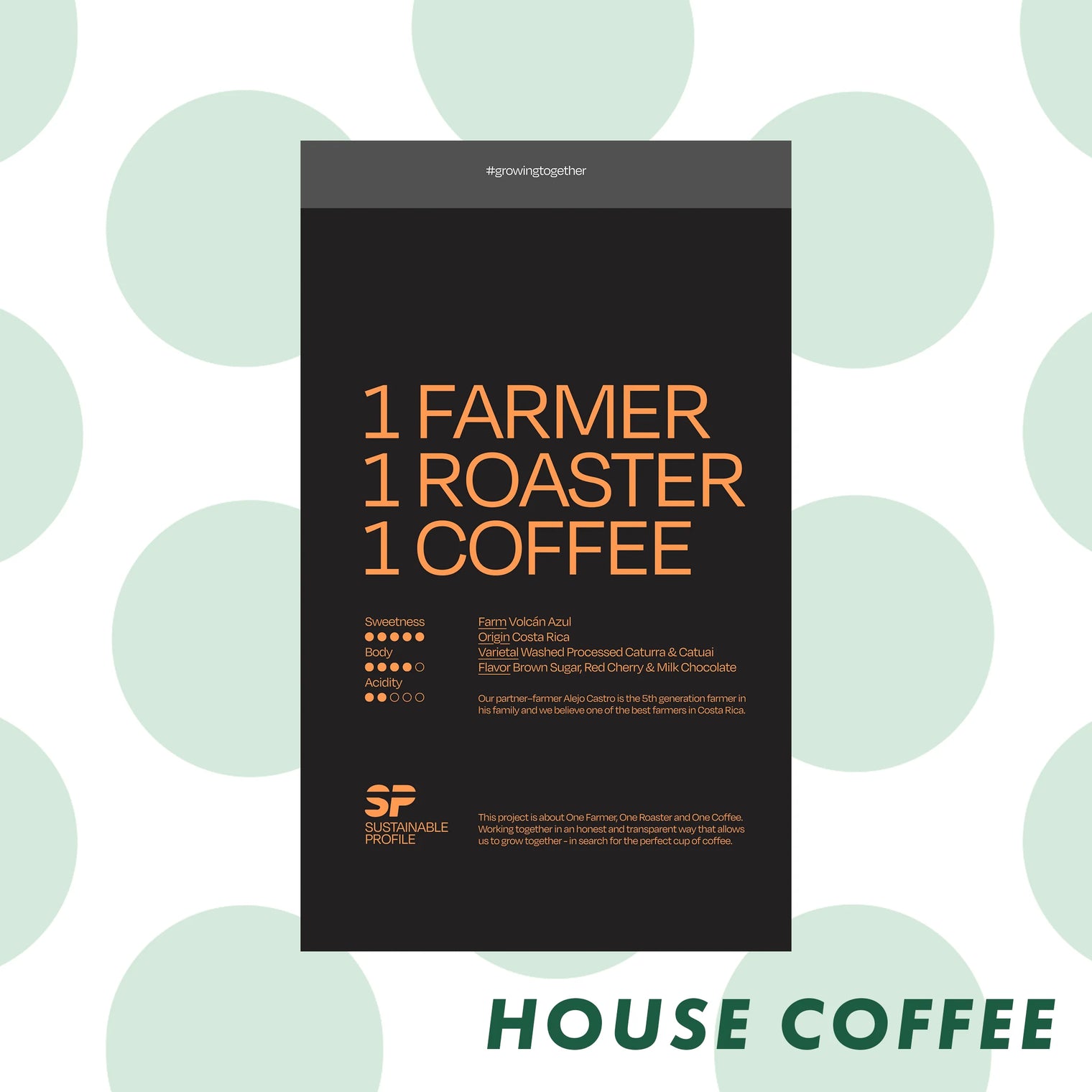 April - Costa Rica - Sustainable Profile Coffee - Sigma Coffee UK