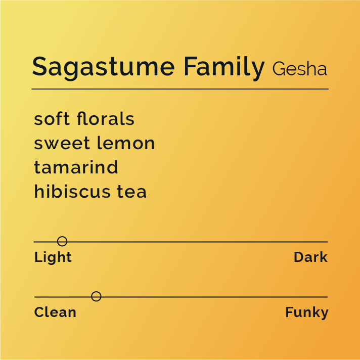 Black & White - Sagastume Family - Gesha