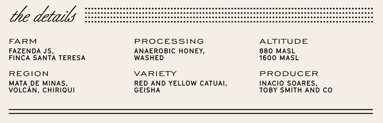 Manhattan Roasters - Brooklyn - Sigma Coffee UK