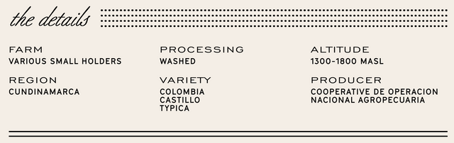 Manhattan Roasters - Colombia Viani - Sigma Coffee UK