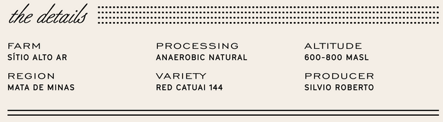 Manhattan Roasters - Brazil Silvio Roberto - Sigma Coffee UK