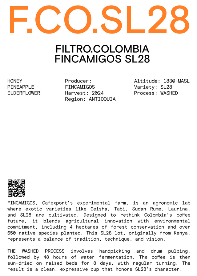 Nomad - Filter, Colombia- Fincamigos - Washed SL28